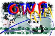 OWF GYM Online